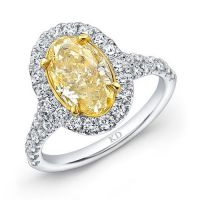 diamond-ring-fashion-yellow-diamonds-Simsbury-CT-Bill-Selig-Jewelers--Kattan-IM3534Y200